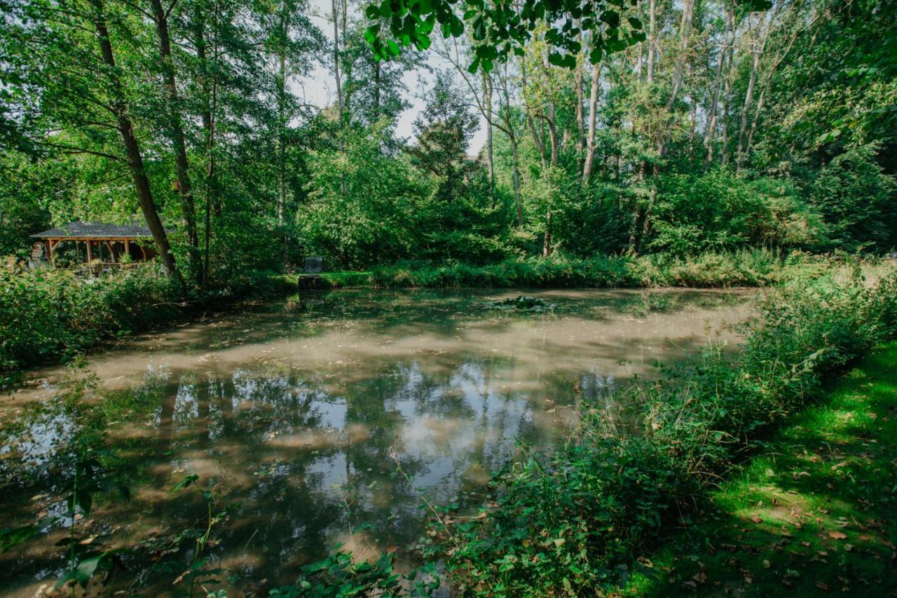 Ferienwohnung Panorama Teichblick Heldritt Bagian luar foto